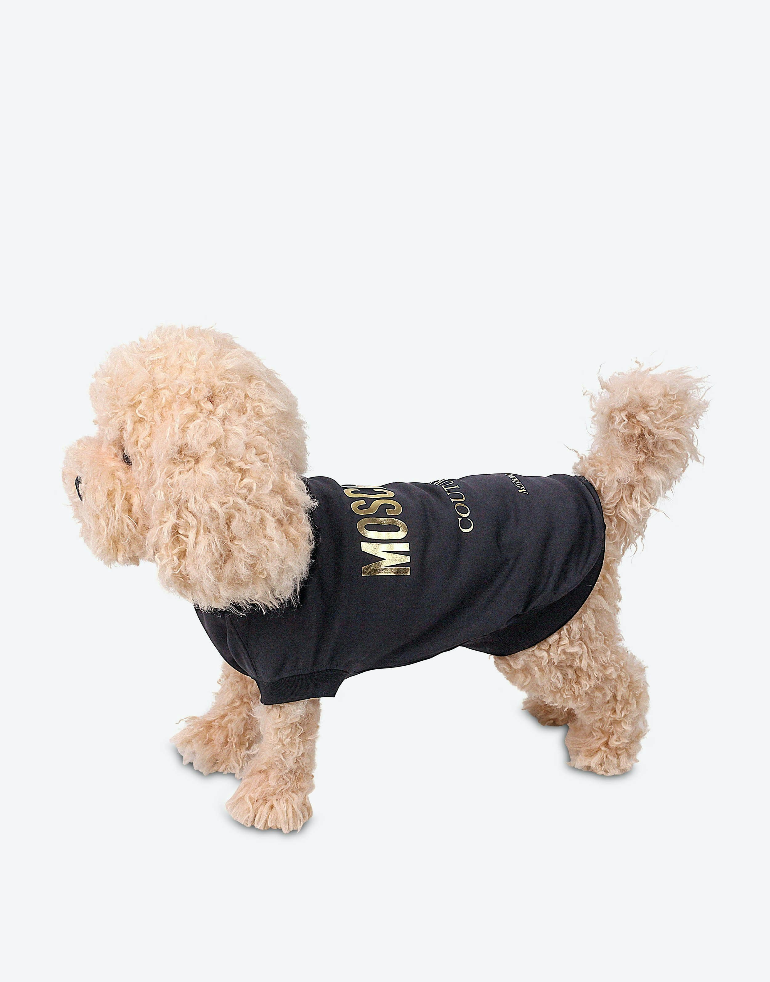 moschino dog clothes