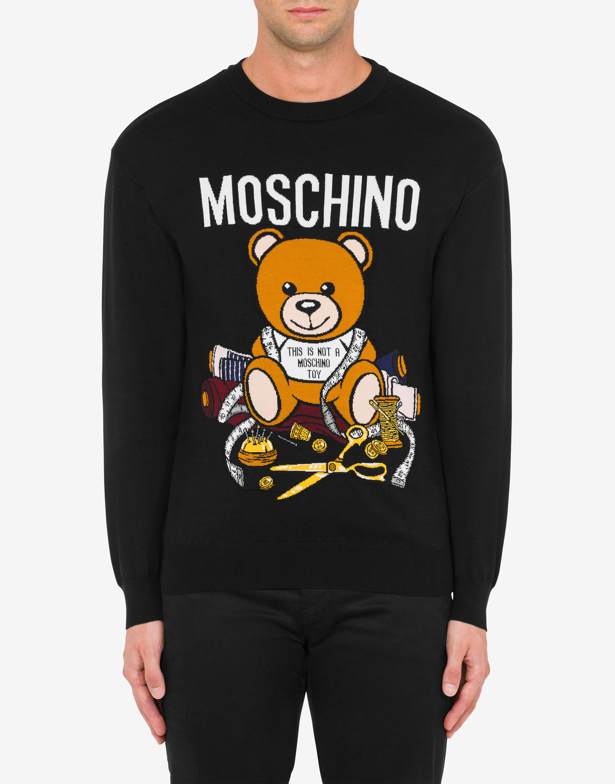 TE_55623_A Teddy bear in sweater with Fabric